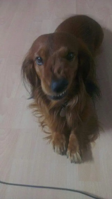Condolence image of Claudia