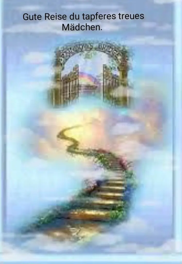 Condolence image of Sandra Sauer