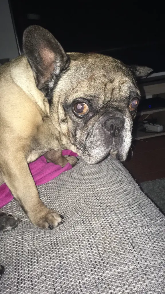 Condolence image of Astrid