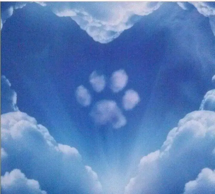 Condolence image of Lisa