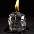 Condolence image of Marlies