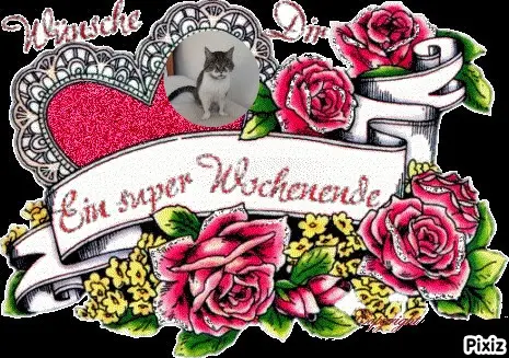 Condolence image of Tanja mit Timmy im Herzen