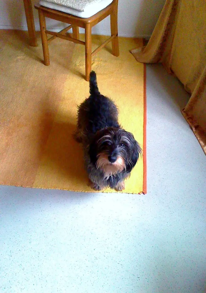 Image from Balou