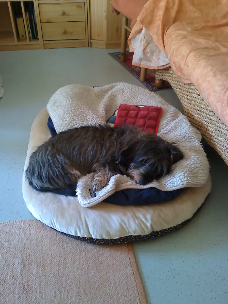 Image from Balou