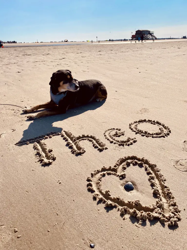 Image from Theo