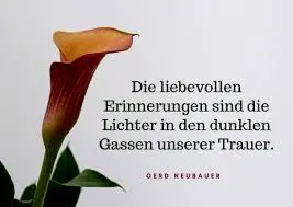 Condolence image of Geburtstagsrosen für Ihren lieben Schatz Daidy ins Regenbogenland