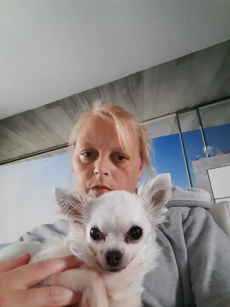 Image from Princess