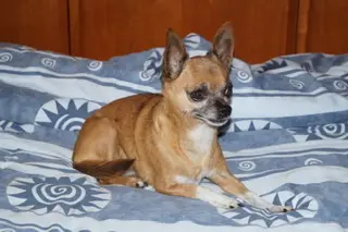 Condolence image of Barbara