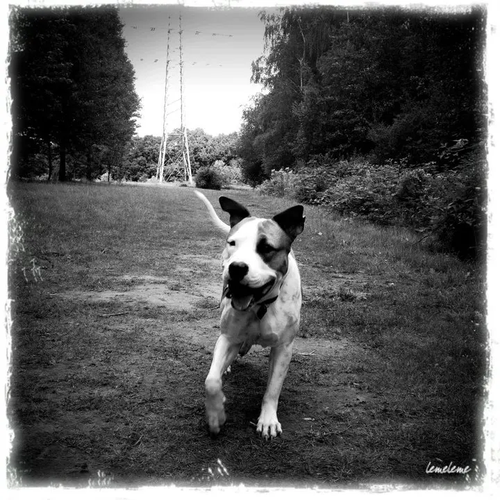 Image from Buddy