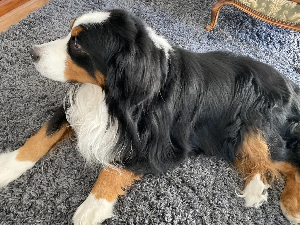 Andachtsbild von Gabriela