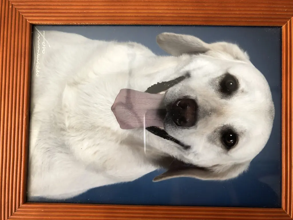 Andachtsbild von Claudia mit Ayla im Herzen