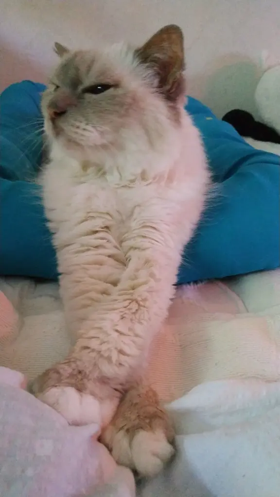 Andachtsbild von Katrin mit Felix tief im Herzen