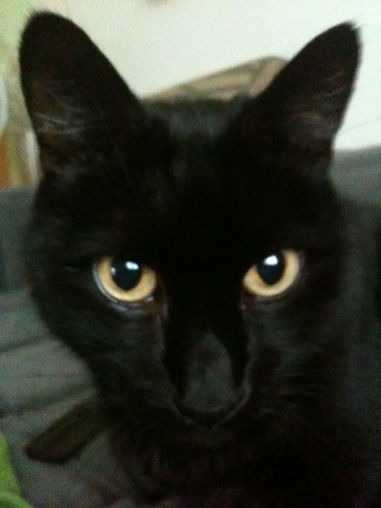 Image from Baby