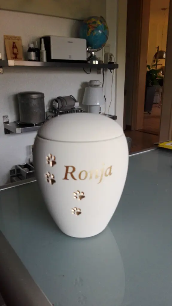 Image from Ronja