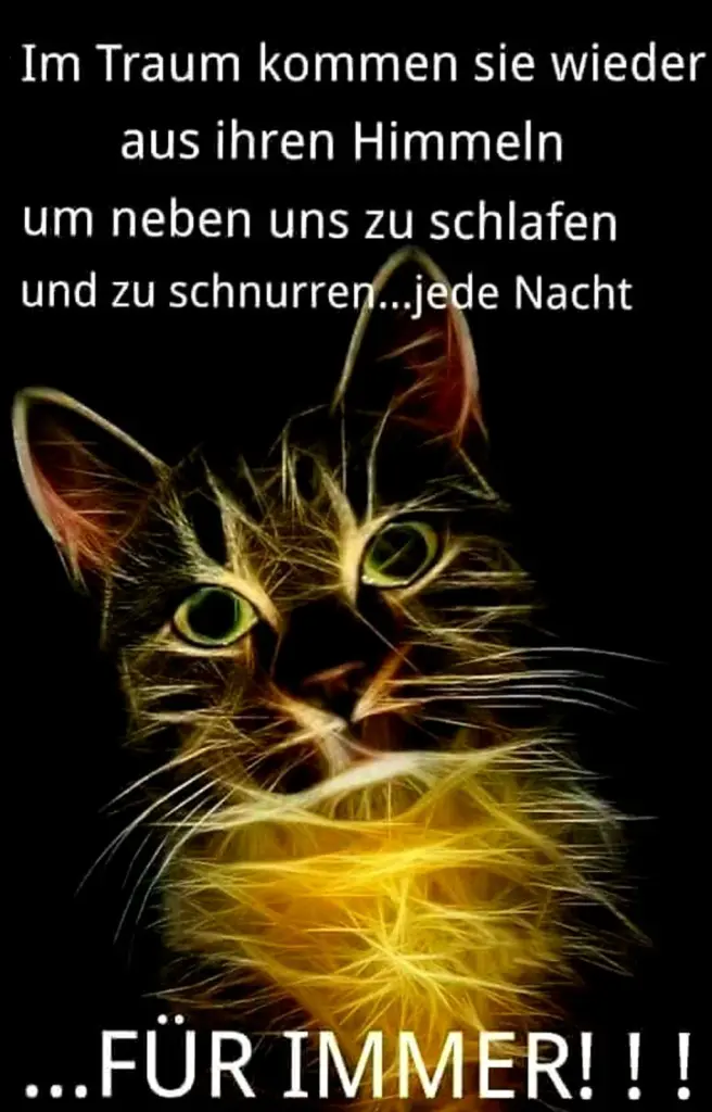 Image from Ronja