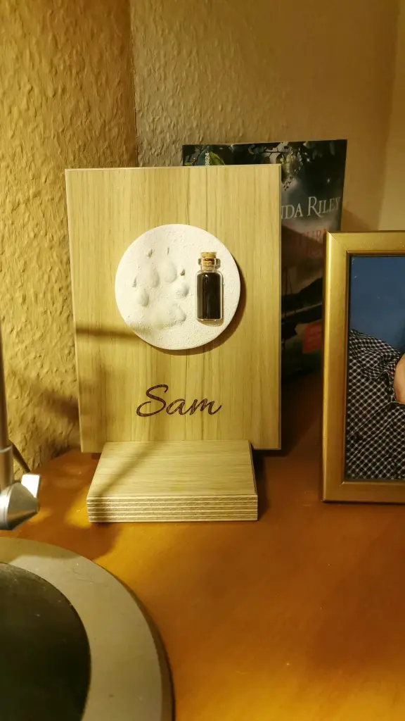 Image from Sam
