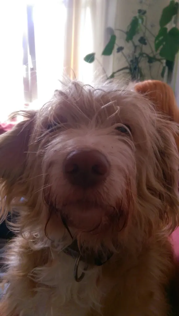 Andachtsbild von Heiko