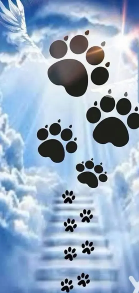 Condolence image of Rilana