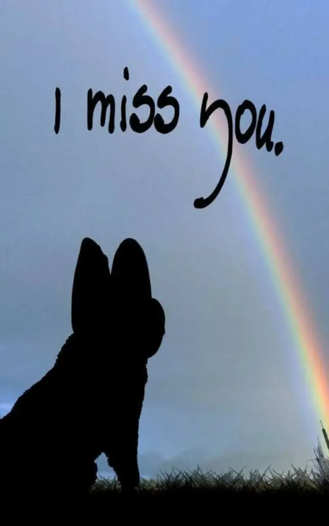 Condolence image of Eva
