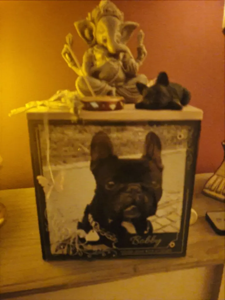 Condolence image of Eva