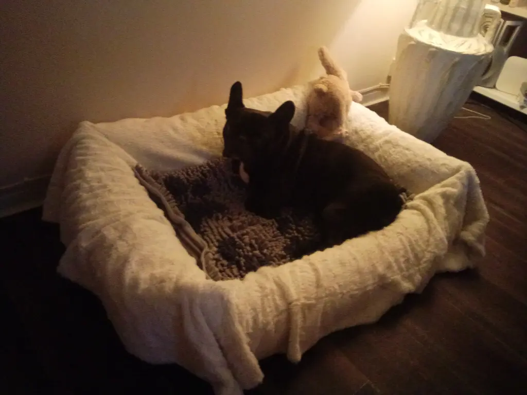 Image from Bobby