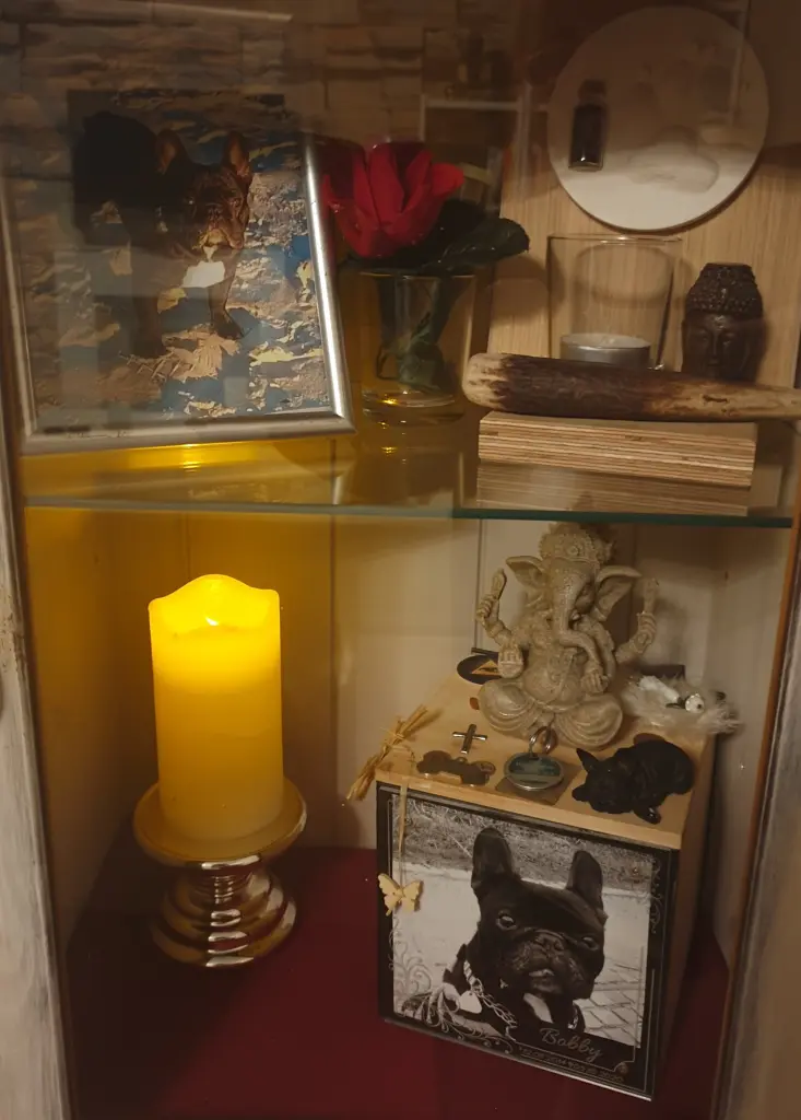 Image from Bobby