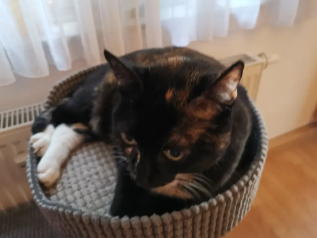 Condolence image of Ulrike