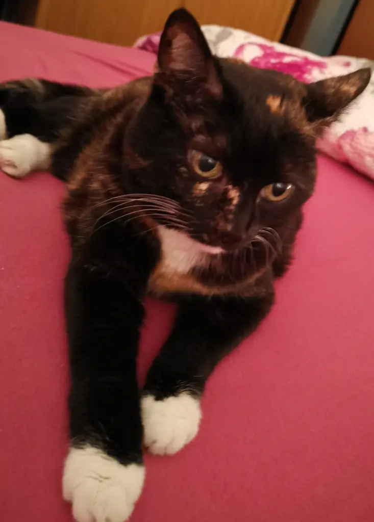 Condolence image of Ulrike