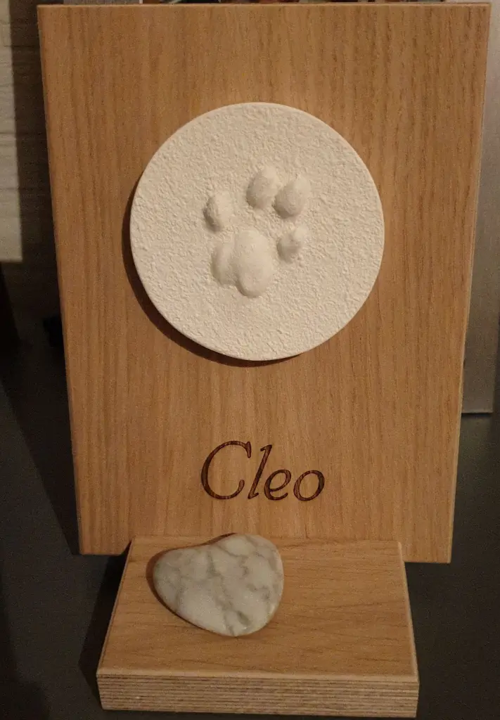 Image from Cleo