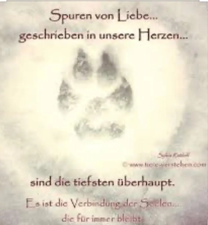 Condolence image of Elke mit Fiby + 30.9.20