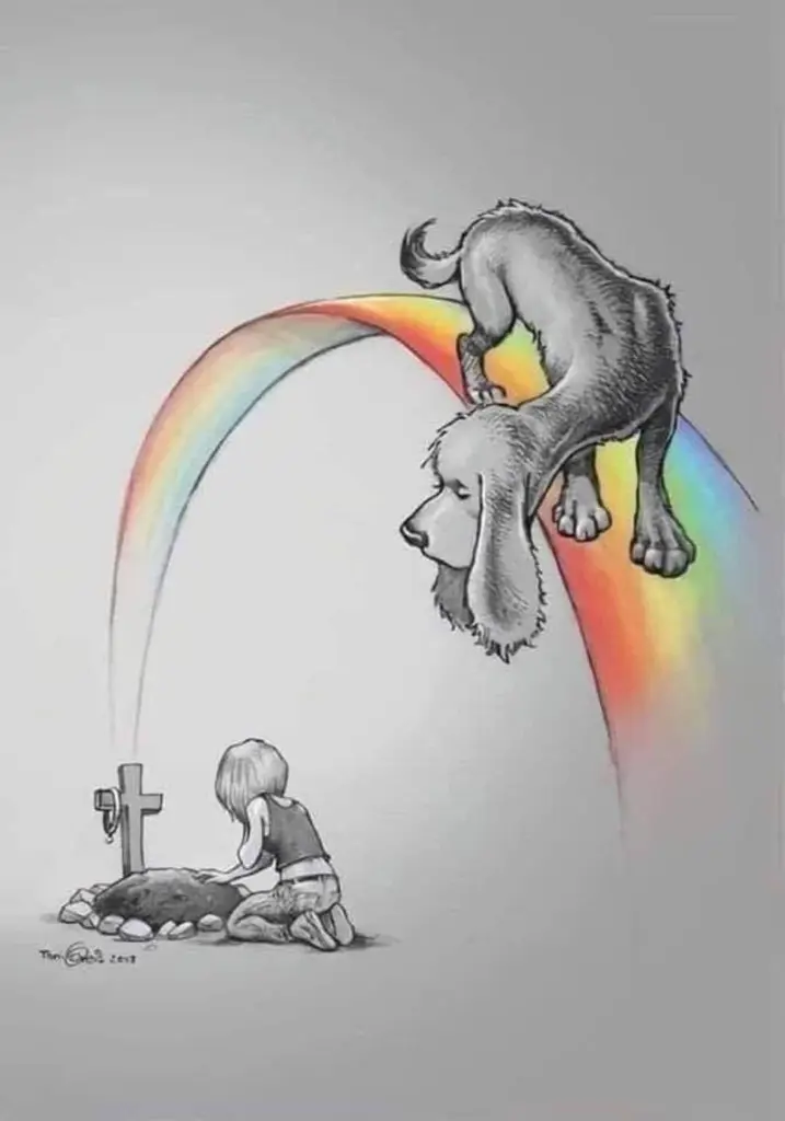 Condolence image of Unbekannt