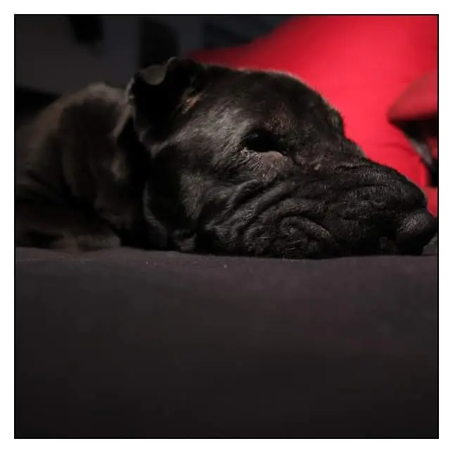 Image from Ernie
