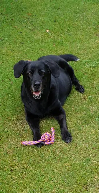 Andachtsbild von Enrico  Holtz 