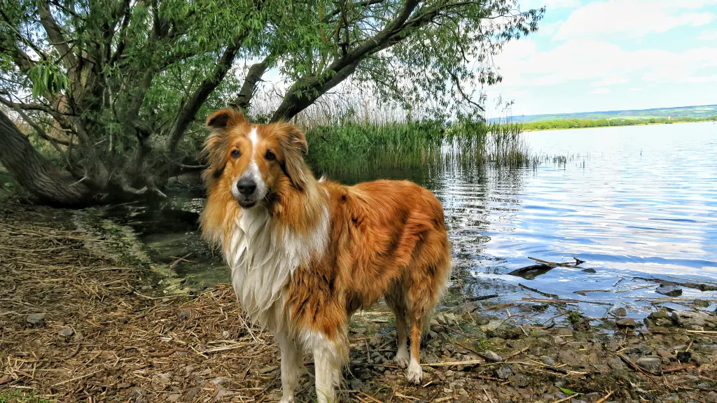 Andachtsbild von Marina und Andreas