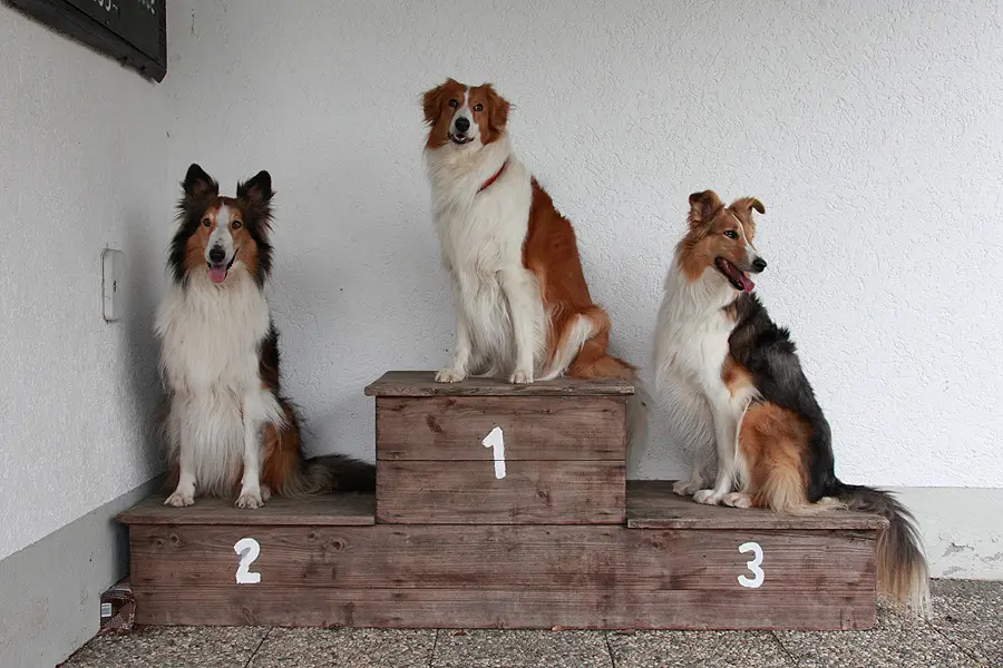 Andachtsbild von Karin und Thomas