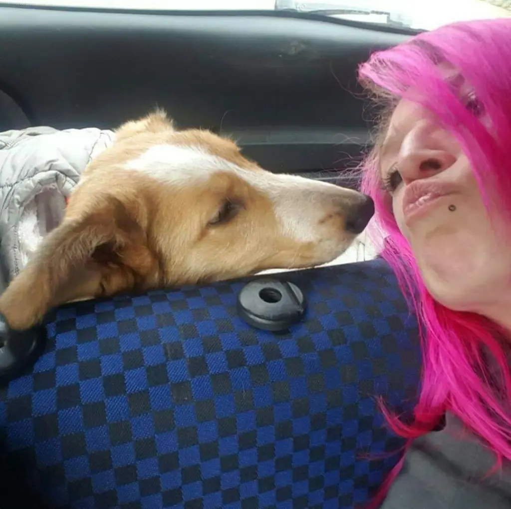 Andachtsbild von Nadine Schulz