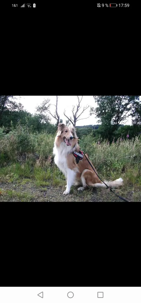 Andachtsbild von Sabine Kelch