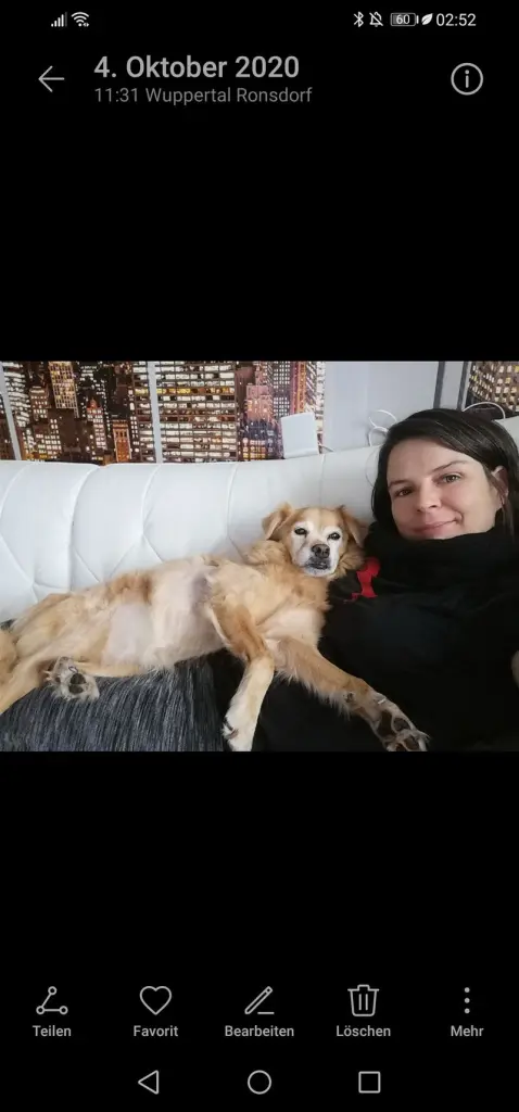 Condolence image of Mandy mit dir im Herzen daisy