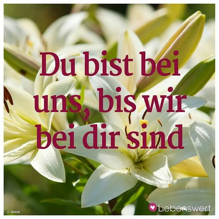 Condolence image of Unbekannt