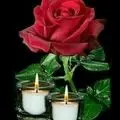 Condolence image of Tanja mit Timmy im Herzen