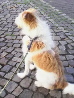 Condolence image of Unbekannt