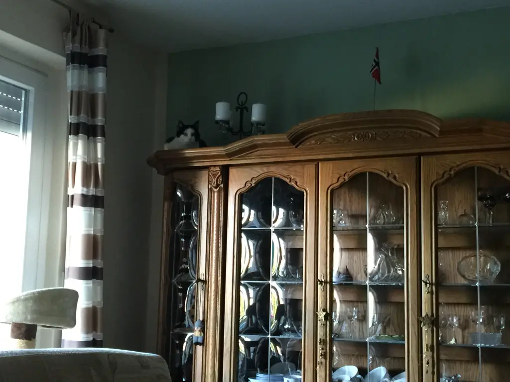 Image from Pauline