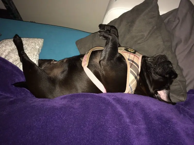 Image from Mimmi