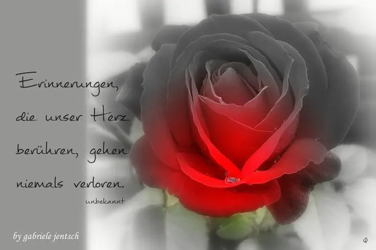 Condolence image of Unbekannt