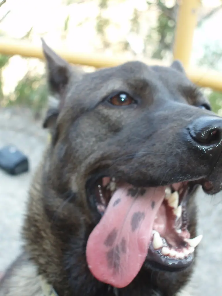 Image from Sinza