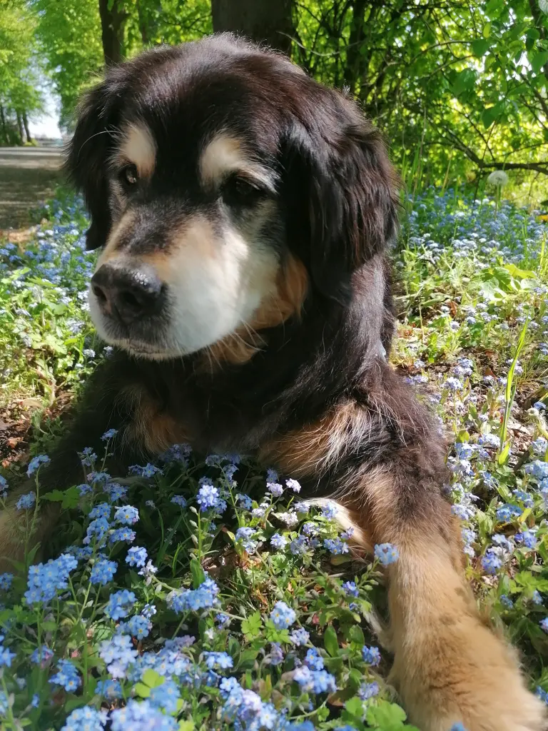 Condolence image of Gabriele