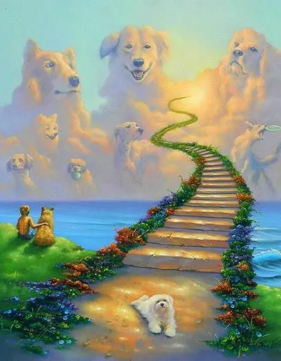 Condolence image of Andrea mit Minki im ❤