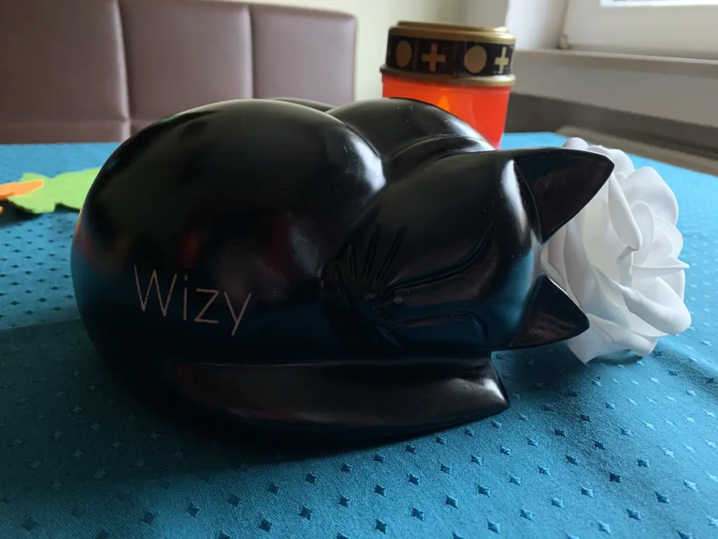 Image from Wizard
