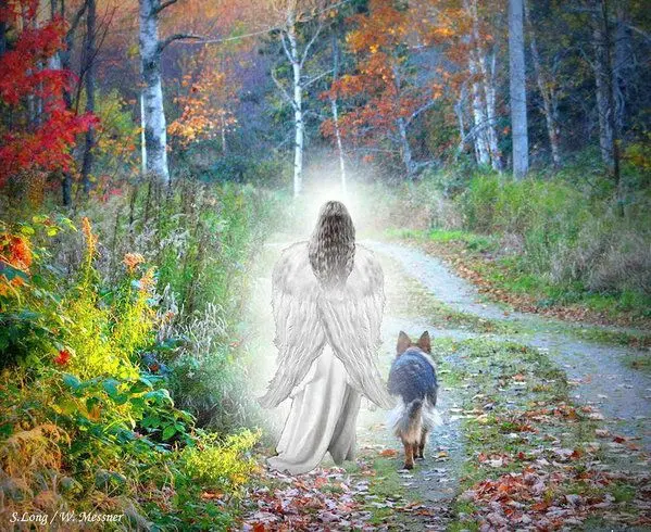 Condolence image of Andrea mit Minki im ❤