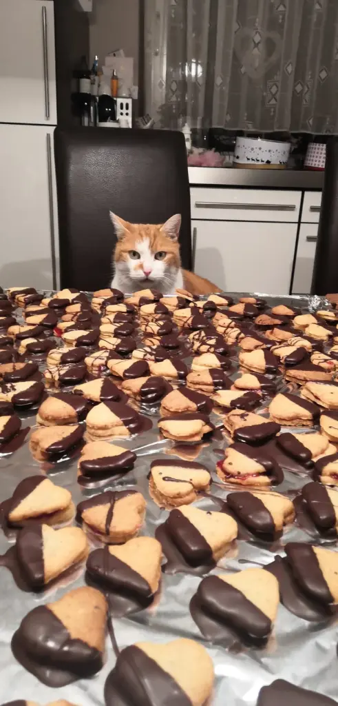 Image from Fluffy